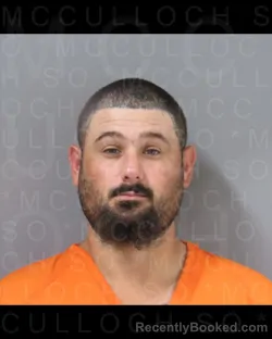 Mugshot of Shane Douglas Whitgrove booked in McCulloch County, Texas on August 13, 2026
