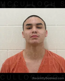 Mugshot of Kristian Cade Estrada booked in McCulloch County, Texas on August 17, 2026