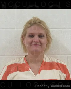 Mugshot of Destinee Teel booked in McCulloch County, Texas on September 1, 2026