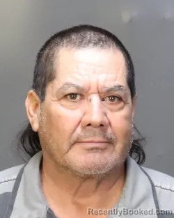 Mugshot of EMILINO PUGA booked in McLennan County, Texas on July 22, 2026