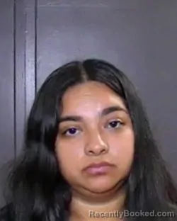 Mugshot of Elsa Sanchez booked in McLennan County, Texas on October 8, 2026