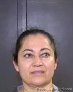Mugshot of Alberta Briceno Chavez booked in McLennan County, Texas on October 8, 2026