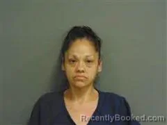 Mugshot of ELISA WELLS booked in Milam County, Texas on July 7, 2026