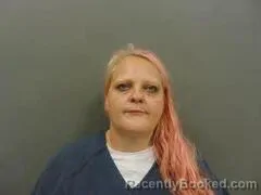 Mugshot of VICKY FIELDS booked in Milam County, Texas on March 11, 2026