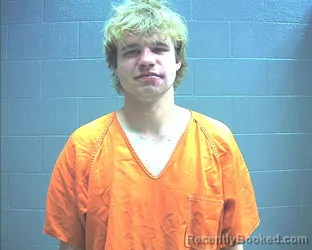 Mugshot of BRAXTON ETHRIDGE