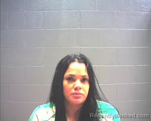 Mugshot of NERELIS ZAMORA-FIGUEROA booked in Mills County, Texas on March 30, 2026