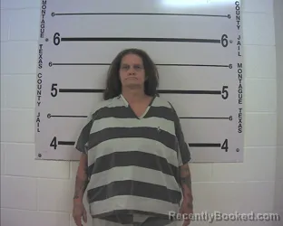 Mugshot of LISA CRISTINE HUGHES booked in Montague County, Texas on May 26, 2026