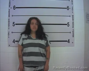 Mugshot of BRITTANY LEE SOLIS
