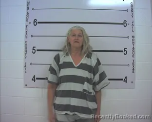 Mugshot of LISA CAROL YOUNG