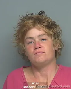 Mugshot of ASHLEY NICOLE SANDERS
