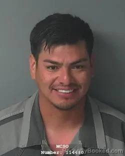 Mugshot of JUAN EDUARDO PARRA GALLAGA