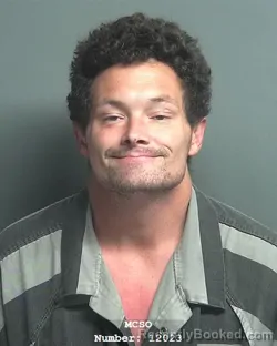 Mugshot of LARRY JOE NETTLES