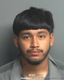 Mugshot of IRVIN TREJO