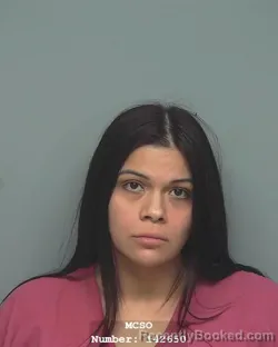 Mugshot of LIZBETH RUBIO
