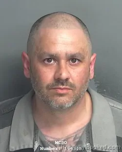 Mugshot of RAY LYNN WOOD