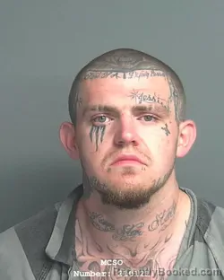 Mugshot of JOSEPH MICHAEL RAINS