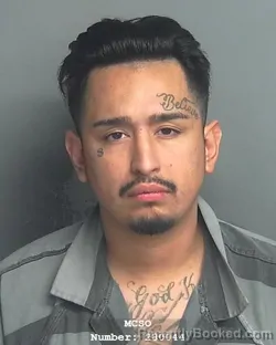 Mugshot of RODOLFO SILVA