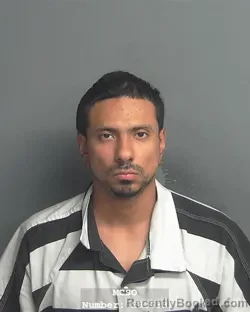 Mugshot of DARIO DUARTE