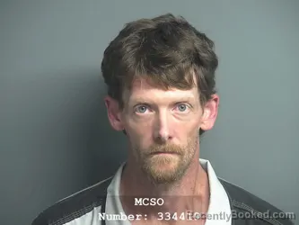 Mugshot of JOSHUA SCOTT WOLLENZIER