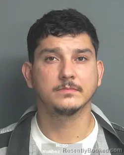 Mugshot of MARCO RENE ALVARADO