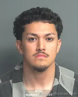 Mugshot of JON RUEBEN GABRIEL DEMETER