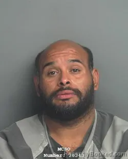 Mugshot of LUIS ESPIRIO DOMINGUEZ