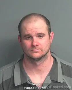 Mugshot of DEREK BRETT MCLEA