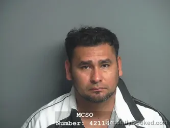 Mugshot of ROGER GUSTAVO SALGADO CHEVEZ