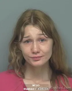 Mugshot of BOBBIE ANN JOHNSON