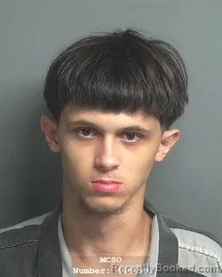 Mugshot of BRANDON LEE WEBB