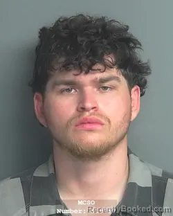 Mugshot of LEVI OWEN WILLIAMS