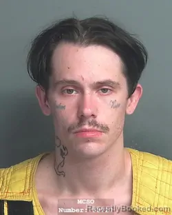 Mugshot of CODY AUSTIN BRINDLEY