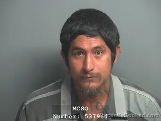 Mugshot of RUBEN JR PETRICIOLE