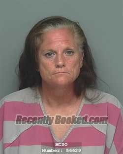 Mugshot of LISA MICHELLE VERMILLION