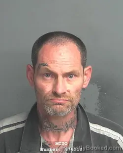 Mugshot of DAVID ALVARO BARRENECHEA