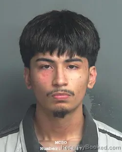 Mugshot of RIGOBERTO MAGALLANES