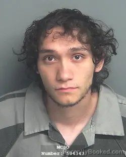 Mugshot of VINCENT GABRIEL HERNANDEZ