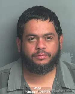 Mugshot of FERNANDO TORRES-VERA