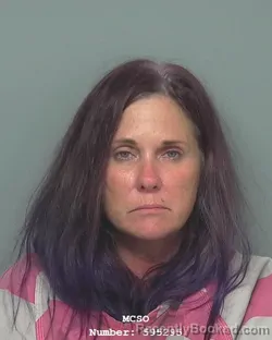 Mugshot of HOLLY ANN HORNSBY