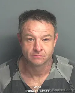 Mugshot of MARK LANDON DULANEY