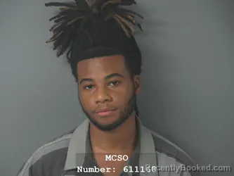 Booking photo from Montgomery County, Texas