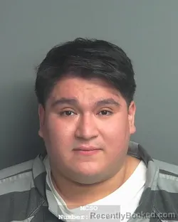 Mugshot of RODOLFO ANTONIO SOLORZANO