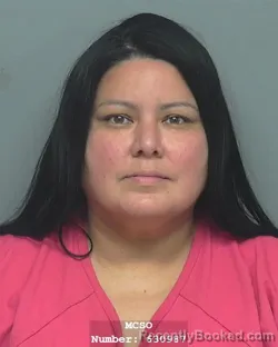 Mugshot of MARITZA ARLETT ARLETT GONZALEZ