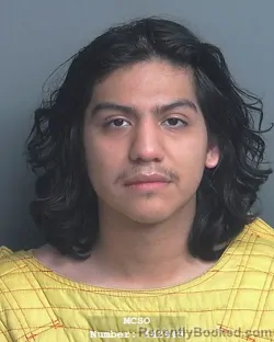 Mugshot of JONATHAN DANIEL CASTILLO