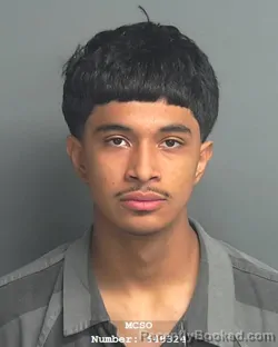 Mugshot of JARO ARRIOLA