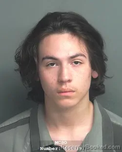 Mugshot of MARIO ALBERTO RAMIREZ-FLORES