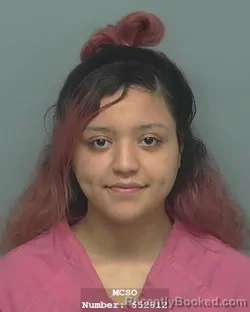 Mugshot of ALEXIS SANCHEZ