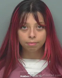 Mugshot of SKYLAR DANYALE BRODERSON booked in Montgomery County, Texas on March 27, 2026