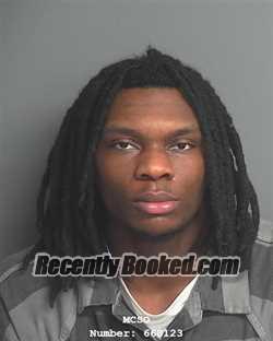 Booking photo from Montgomery County, Texas