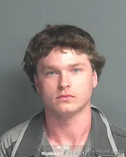 Mugshot of DILLON KEITH MEYER
